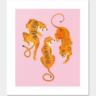 Three fierce tigers Posters and Art